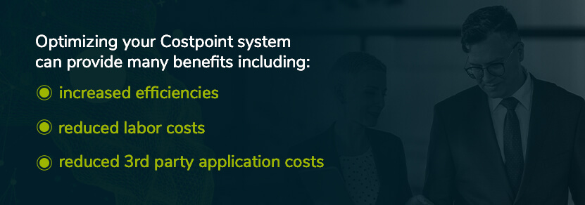 benefits of optimizing your costpoint system